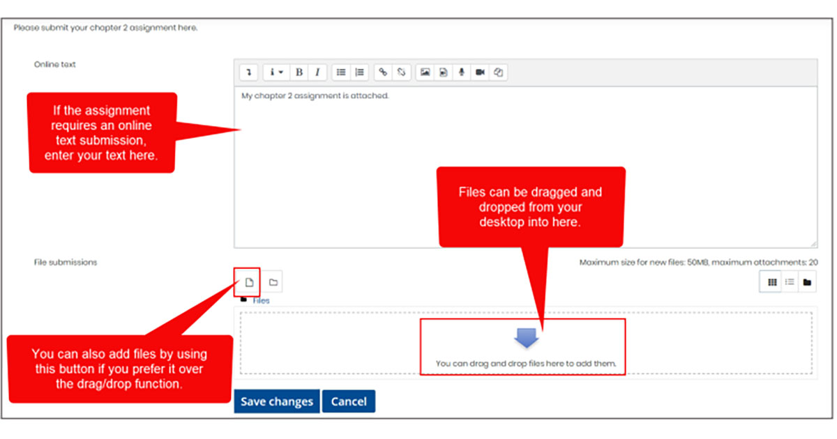 how-to-submit-an-assignment-pdf