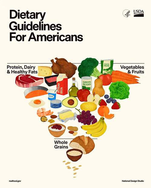 The 2025 Dietary Guidelines for Americans introduce an inverted food pyramid