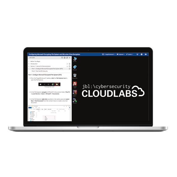 Cloud Labs for Managing Risk in Information Systems: 9781284183733