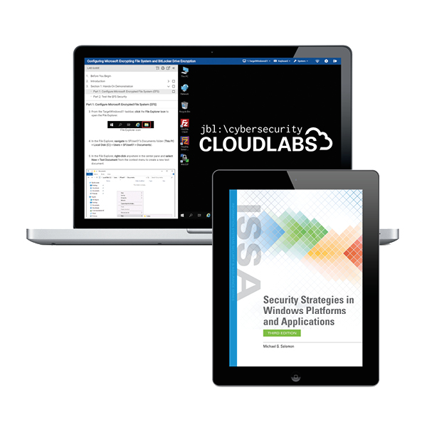 Navigate eBook Access for Security Strategies in Windows Platforms